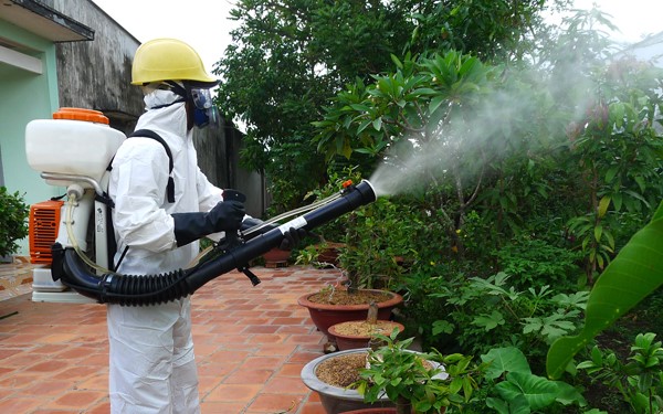 Dịch vụ phun diệt muỗi chuyên nghiệp tại Đà Nẵng